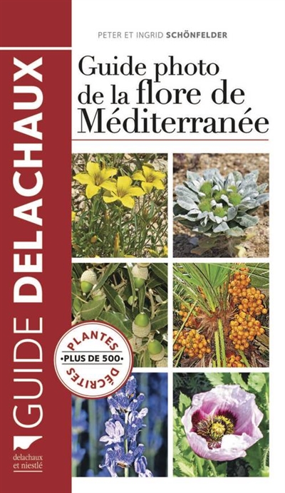 Guide photo de la flore de Méditerranée