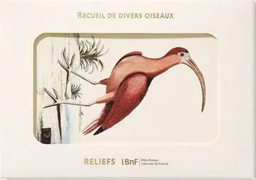 Recueil de divers oiseaux : carnet