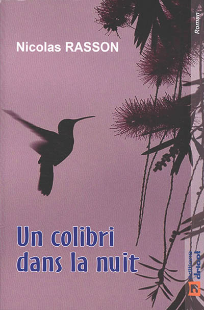 Un colibri dans la nuit