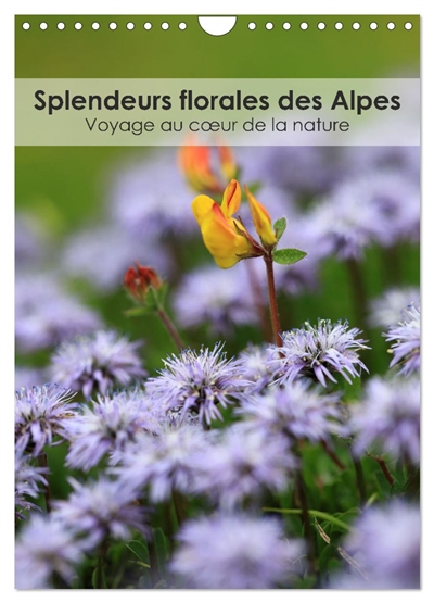 Splendeurs florales des...