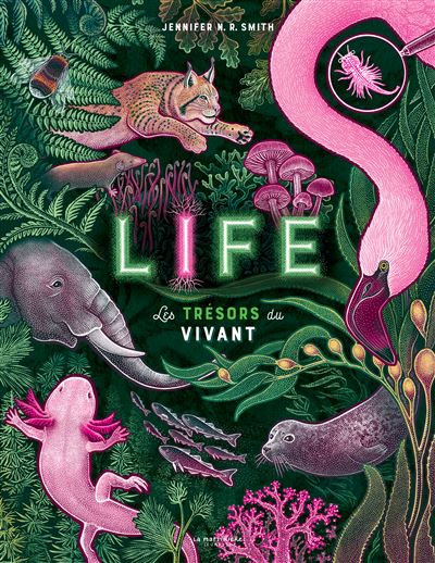 Life : les trésors du vivant
