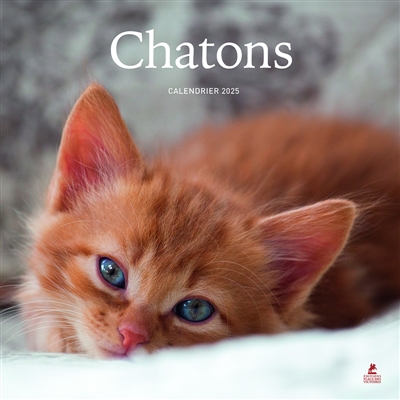 chatons : calendrier 2025