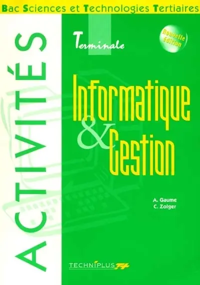 Informatique et gestion, activités, bac STT terminale IG