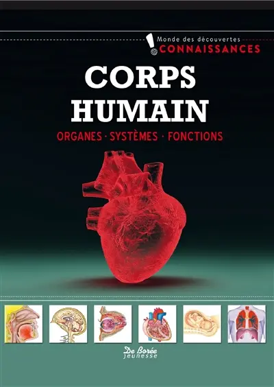 Le corps humain : organes, systèmes, fonctions
