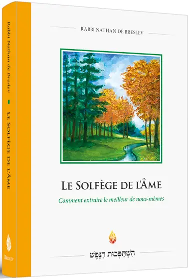 Le solfège de l'âme : comment extraire le meilleur de nous-mêmes