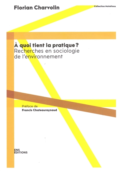 A quoi tient la pratique ? : recherches en sociologie de l'environnement