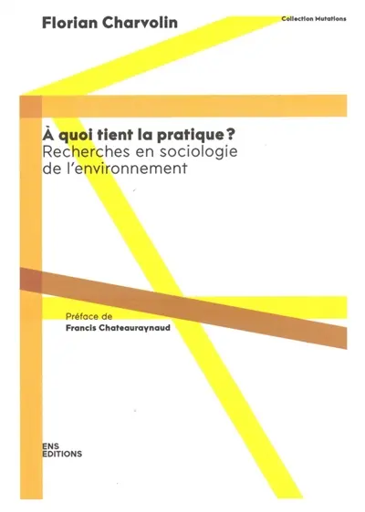 A quoi tient la pratique ? : recherches en sociologie de l'environnement