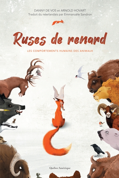 Ruses de renard : Les comportements humains des animaux