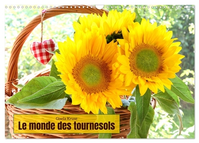 Le monde des tournesols...