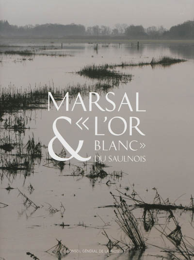 Marsal & l'or blanc du Saulnois : le Musée départemental du sel de Marsal