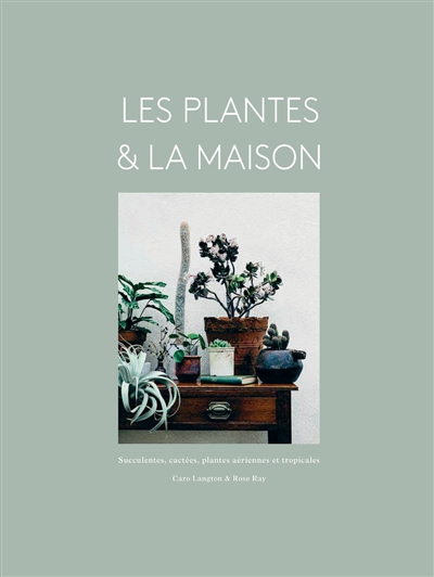 Les plantes & la maison : succulentes, cactées, plantes aériennes et tropicales