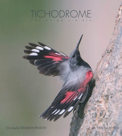 L'oiseau papillon : la vie incroyable du tichodrome : film