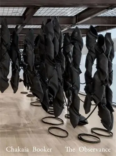 Chakaia Booker The Observance