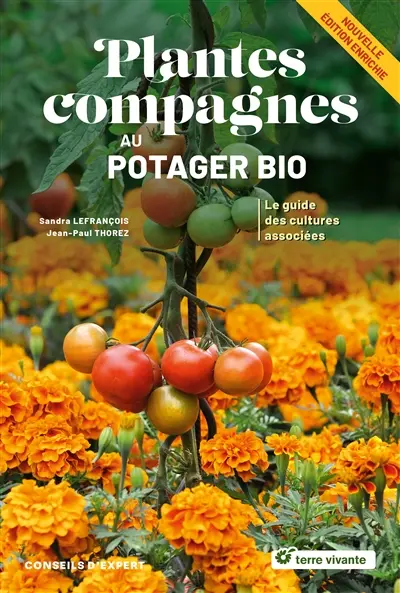 Plantes compagnes au potager bio : le guide des cultures associées