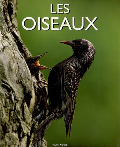 Les oiseaux