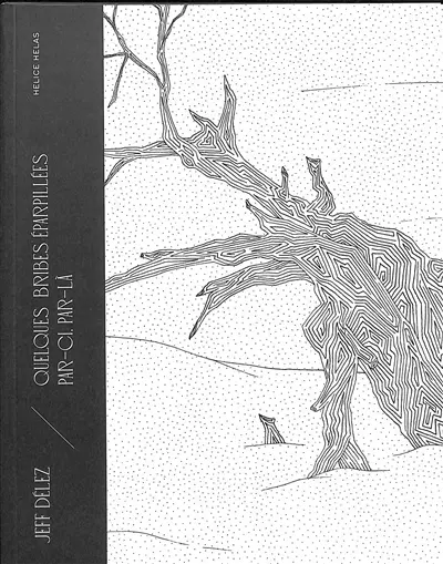 Quelques bribes éparpillées par-ci, par-là