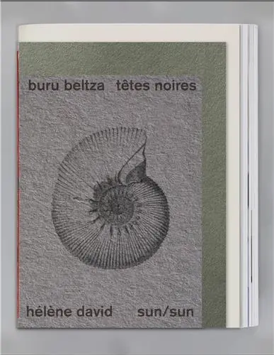 Hélène David Têtes Noires/Buru Beltza Une Enquête-fiction au Pays Basque