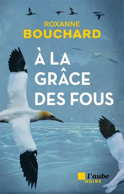A la grâce des fous