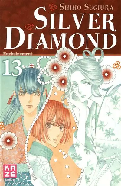 Silver Diamond. Vol. 13. Enchaînement