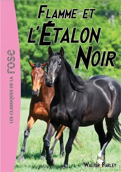 L'étalon noir. Vol. 17. Flamme et l'étalon noir