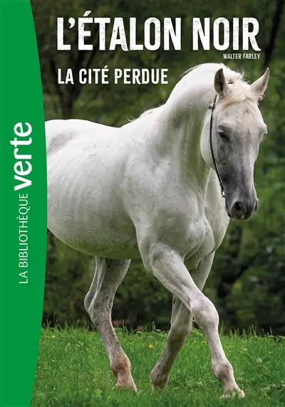 L'étalon noir. Vol. 20. La cité perdue