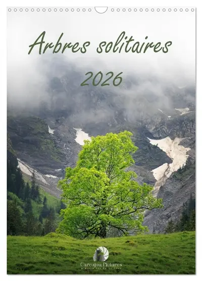 Arbres solitaires (Calendrier mural 2026 DIN A3 horizontal), CALVENDO calendrier mensuel : Un hommage poétique à la majesté et à la force tranquille des arbres qui se dressent seuls, témoins intemporels de la nature et des saisons.