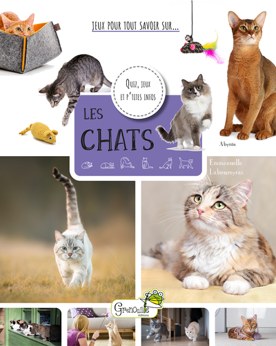 Les chats : quiz, jeux et p'tites infos