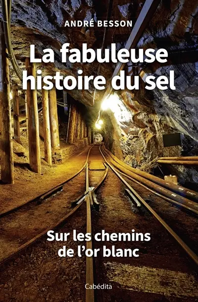 La fabuleuse histoire du sel : sur les chemins de l'or blanc