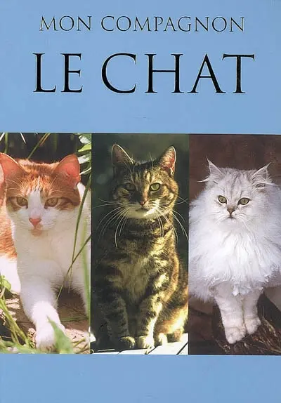 Le chat : mon compagnon