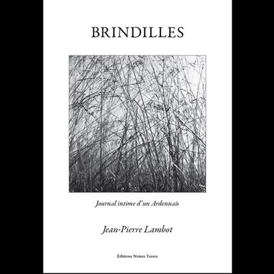 Brindilles : journal intime d'un Ardennais