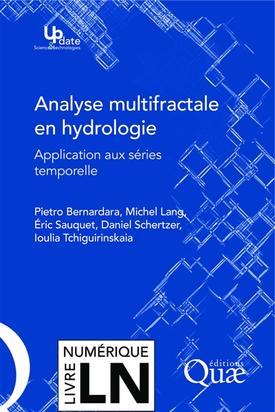 Analyse multifractale en hydrologie : application aux séries temporelles