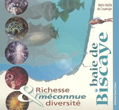 Baie de Biscaye : richesse et diversité méconnue