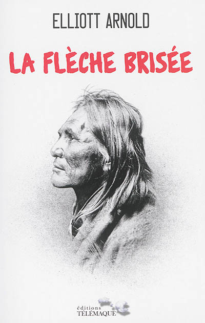 La flèche brisée : le roman de Cochise