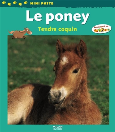 Le poney : tendre coquin