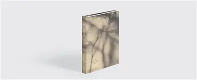 Monk : light and shadow on the philosopher's path