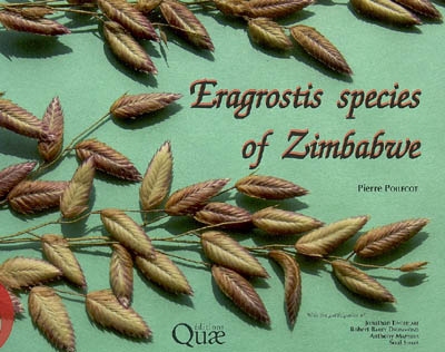 Eragrostis species of Zimbabwe