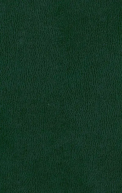 Oeuvres poétiques complètes : édition critique. Vol. 9. Compléments : poèmes et manuscrits retrouvés, réception critique de l'oeuvre poétique