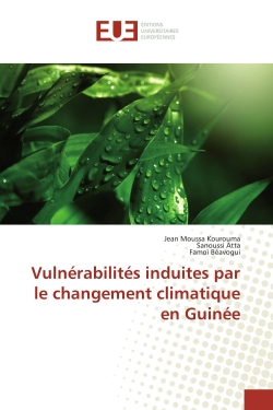 Vulnérabilités induites par le changement climatique en Guinée