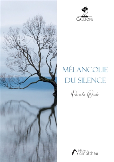 Mélancolie du silence