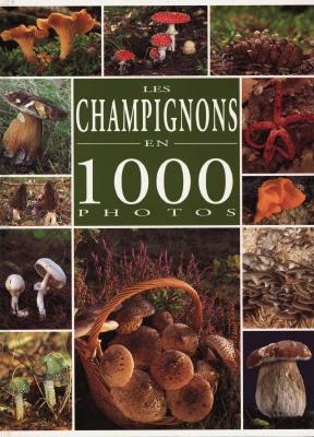Les champignons en 1000 photos