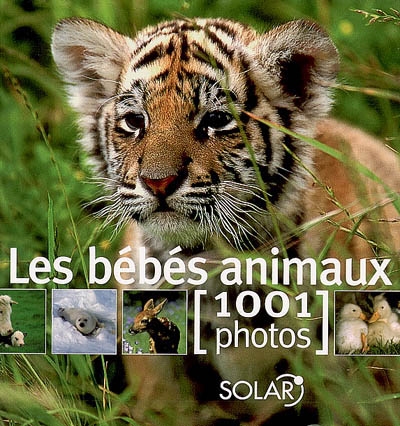 Les bébés animaux