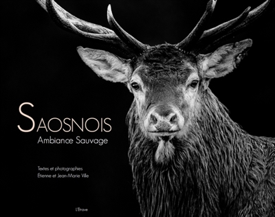 Saosnois : ambiance sauvage