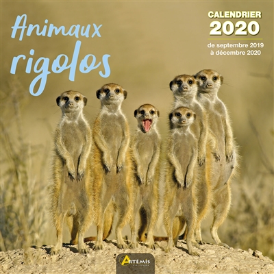 Animaux rigolos : calendrier 2020 : de septembre 2019 à décembre 2020