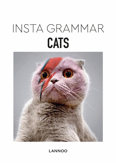 Insta grammar. Cats