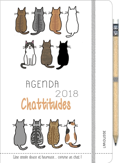 Chattitudes : agenda 2018