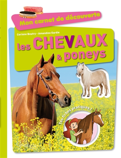 Les chevaux & poneys