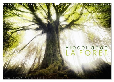 BROCELIANDE, la forêt (Calendrier mural 2025 DIN A3 vertical), CALVENDO calendrier mensuel : photographies de la forêt de Brocéliande