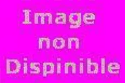 Luz ou Le temps sauvage