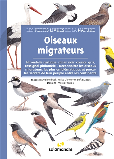 Oiseaux migrateurs : hirondelle rustique, milan  noir, coucou gris, rossignol philomèle... : reconnaître les oiseaux migrateurs les plus emblématiques et percer les secrets de leur périple entre les continents