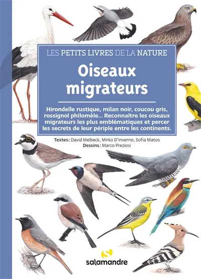 Oiseaux migrateurs : hirondelle rustique, milan  noir, coucou gris, rossignol philomèle... : reconnaître les oiseaux migrateurs les plus emblématiques et percer les secrets de leur périple entre les continents